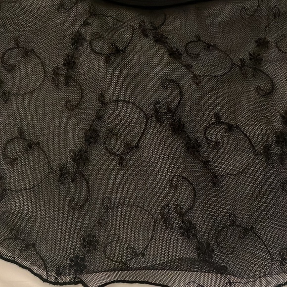 Sheer Ballet Skirt - Picture 2 of 2